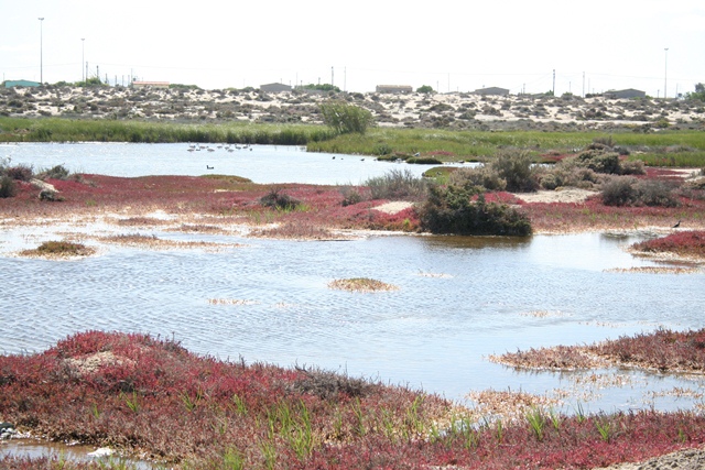 Port Nolloth Bird Park