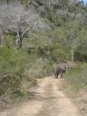 Mwaluganje Elephant Sanctury